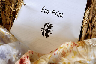Atelier d'initation à l'éco print à Tréguier (22)