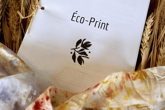 Atelier d'initation à l'éco print à Tréguier (22)