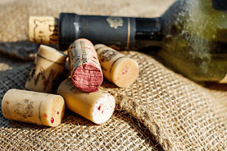 Atelier oenologie au Musée du Vin et du Négoce (33)
