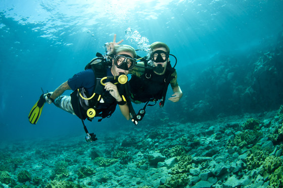 CENTRO DE SUBMARINISMO SUBKRO - photo 2