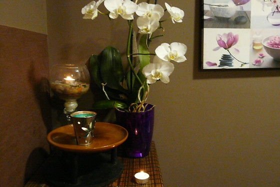 WELLNESS AVENIDA - photo 2