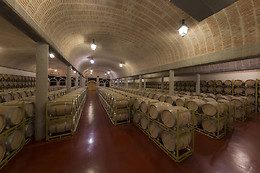 CURSO CATA DEL VINO