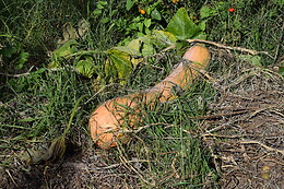 Domaine les Cascades