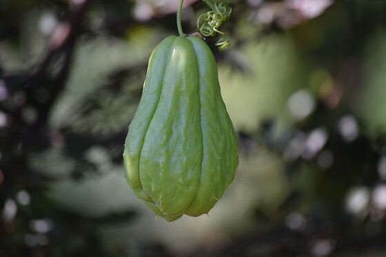 Domaine les Cascades - photo 5