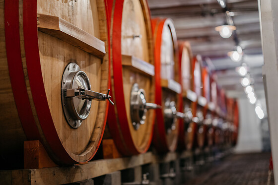 Brasserie Timmermans - photo 0