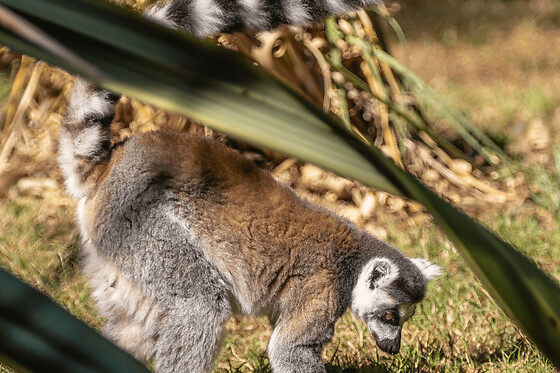 Funbooker - photo 1