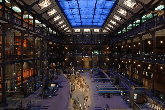 Billet coupe-file pour la Grande Galerie de l'Evolution