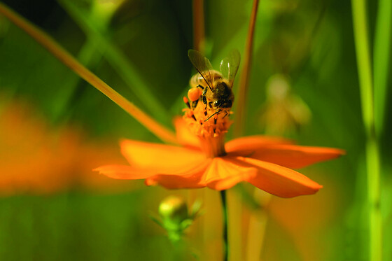Funbooker - photo 0