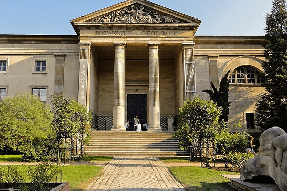 Billet coupe-file pour la Galerie de Minéralogie à Paris 5ème
