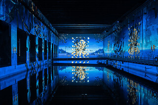 Billet pour les Bassins des Lumières à Bordeaux (33)