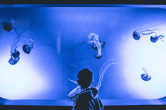 Funbooker - photo 1