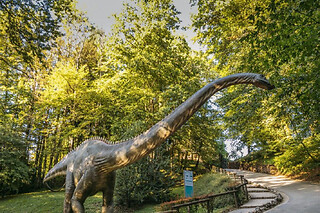 Billet pour le parc Dino-Zoo (25)