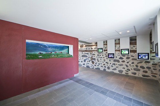 Dégustation à 2 à la maison de la Salers à Saint-Bonnet-de-Salers (15)