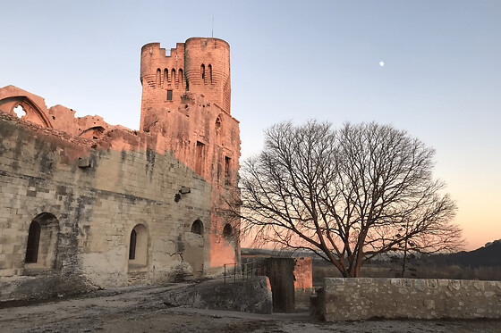 Billet pour l'Abbaye de Montmajour (13)