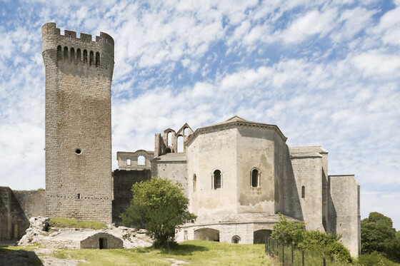 Billet pour l'Abbaye de Montmajour (13)