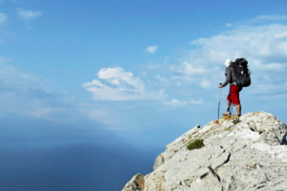 ALPINE PROJECT - photo 6