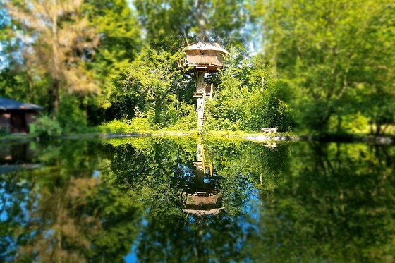 Domaine de Wail - photo 31
