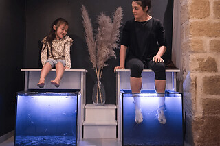 Fish SPA à Paris 2ème