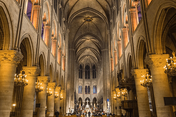 Billet pour l'expérience immersive Éternelle Notre-Dame à Paris