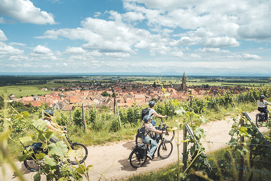 DETOUR ALSACE - photo 10