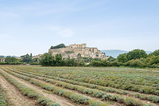 Dégustation de vin pour 2 au Domaine de Montine à Grignan (26)