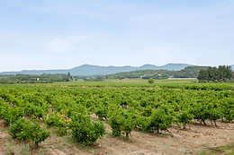 Domaine de Montine
