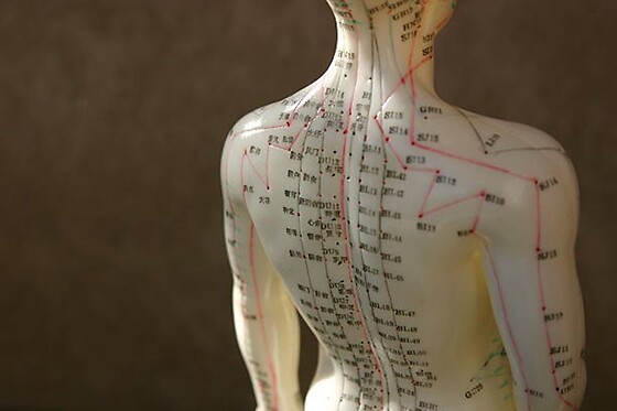 Le Point d'Équilibre Shiatsu - photo 2