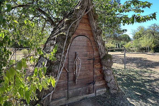 The Good Time Family Ranch - photo 0