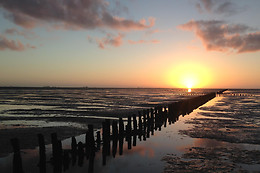 Wadlopen Pieterburen