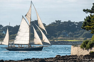 Journée à bord d'un voilier centenaire près de Vannes (56)