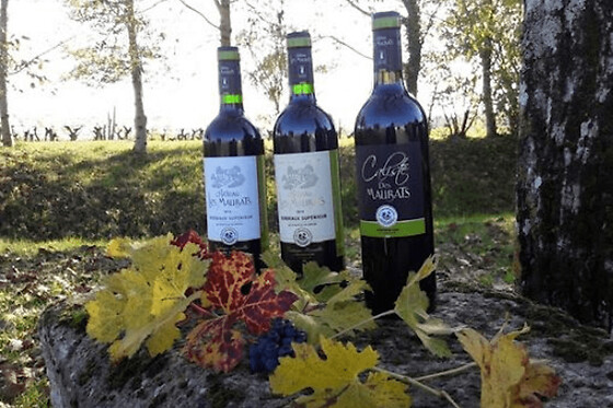 Visite et initiation à la dégustation au Château Les Maubats
