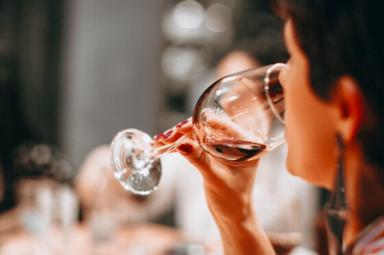 Oenologie, les bases de la dégustation à Rennes (35)