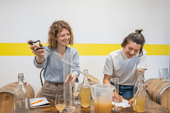 Atelier assemblage de vin à Courbevoie (92)
