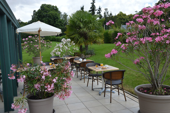 Hôtel entre Beauce et Perche - photo 3