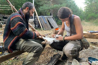 Stage de Bushcraft dans le Parc du Pilat proche de Lyon (42)