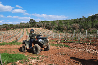 Randonnée Quad à Carcès près de Draguignan (83) - Option - Passager - 1h