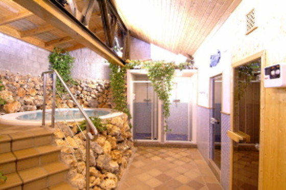 HOTEL PALACIO DE OÑATE SPA - photo 32