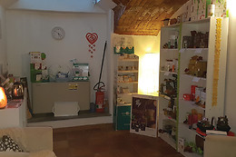 NonSoloSale