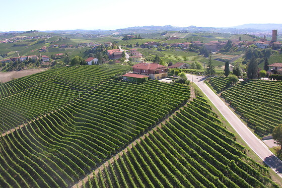 Azienda Agricola Cascina Albano S.S.A. - photo 0
