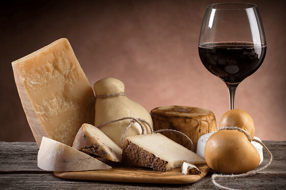 Dégustation vins & fromages à Bordeaux (33)