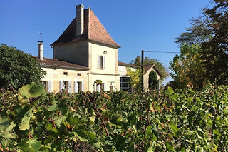Dégustation de vin à Saint-Emilion (33)