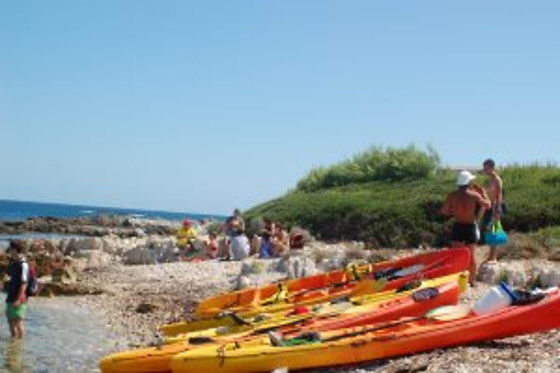 Seafirst Skylife Vision - photo 5