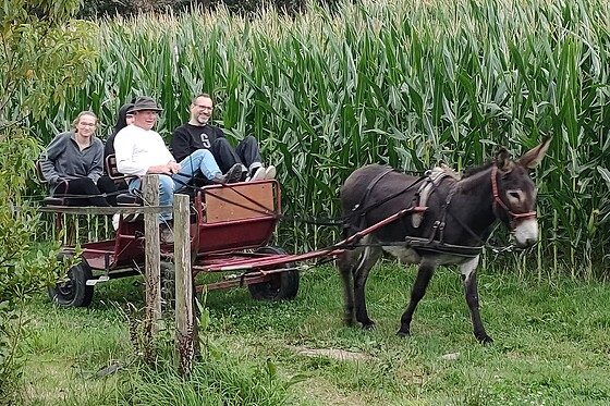 Séjour pour deux à Ann'Armor, chambre d'hôtes à Tréméreuc (22)