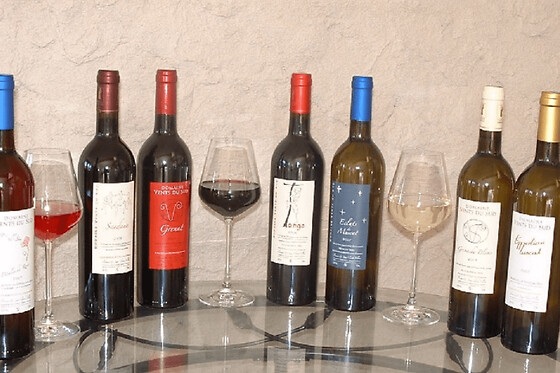 Dégustation de vins à proximité de Perpignan (66)
