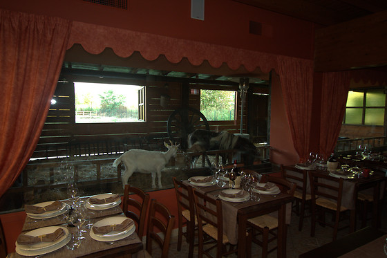 Tenuta del Vecchio Mulino - photo 19