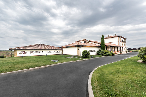 BODEGAS LOS PINOS - photo 9