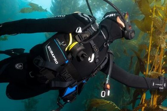 FREEANDIVERS - photo 6