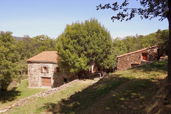 Le Vieux Mas - photo 2