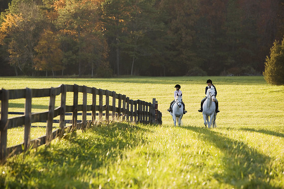 Centre Equestre les Onglous - photo 2