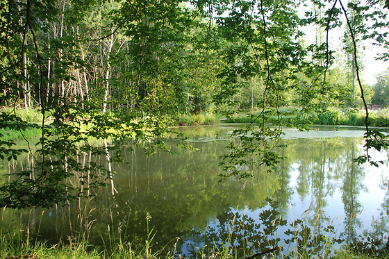 Domaine des Tinarages - photo 2
